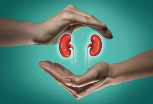 6 Ways to Keep Your Kidneys Healthy